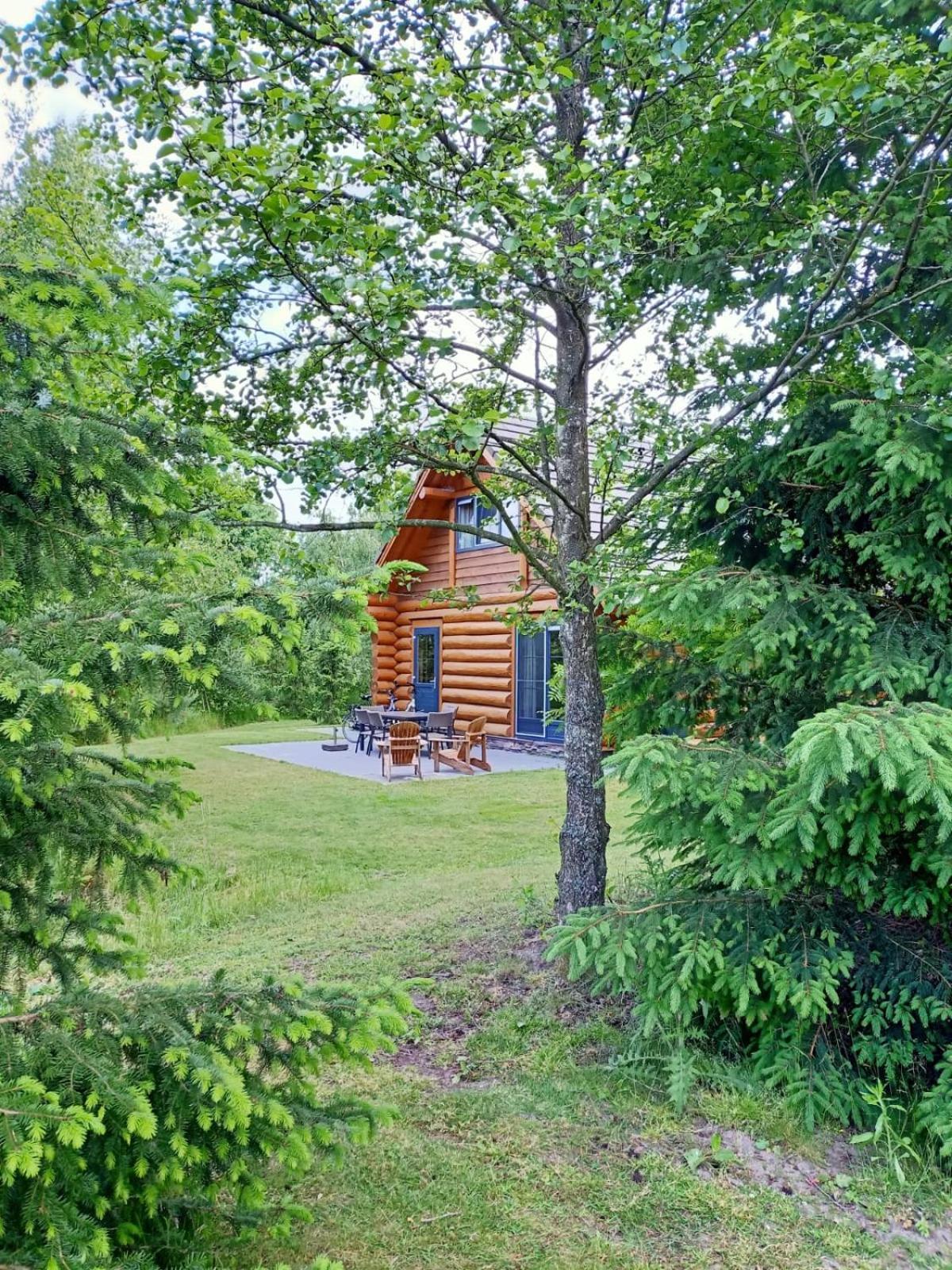 Unieke Houten Villa Met Sauna In Twente - 6P Den Ham Ngoại thất bức ảnh