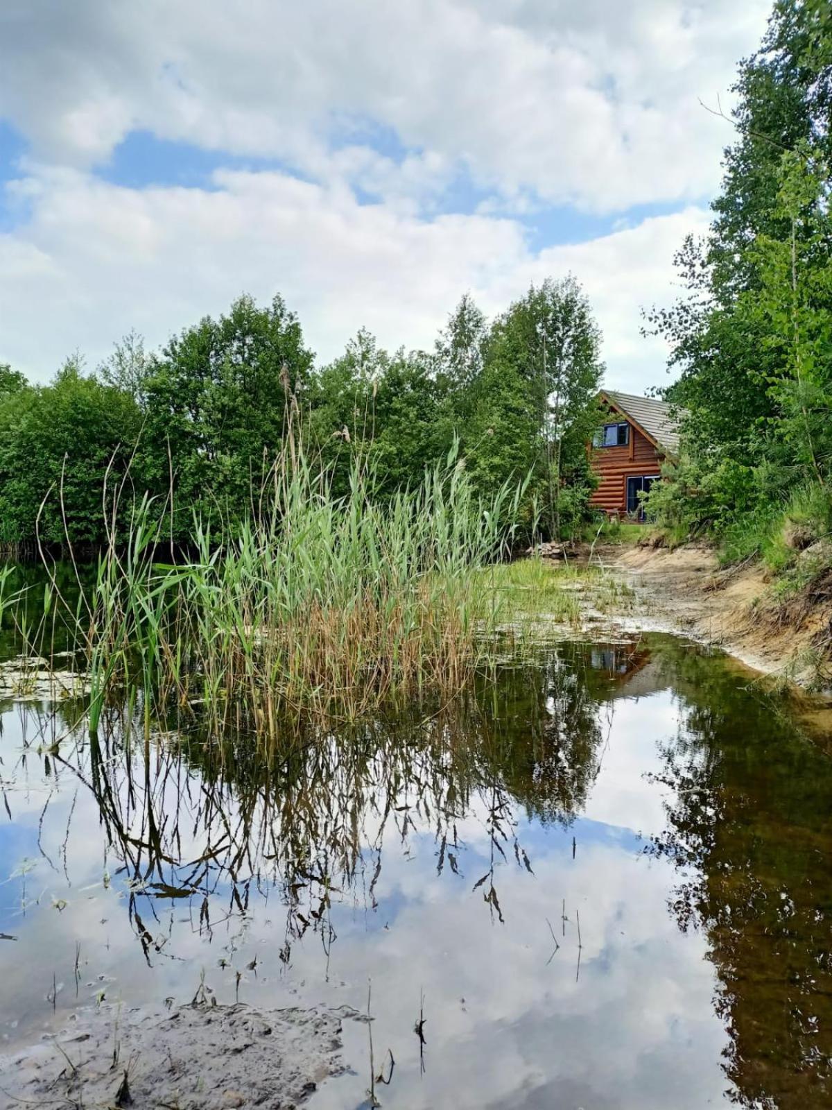 Unieke Houten Villa Met Sauna In Twente - 6P Den Ham Ngoại thất bức ảnh